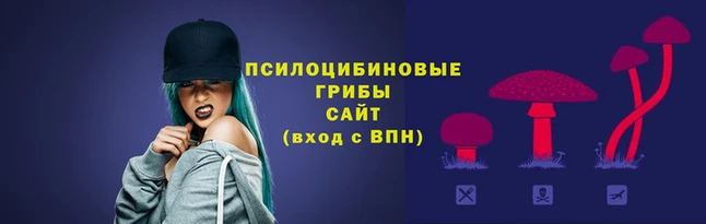 MDMA Осинники
