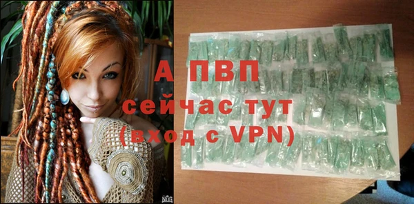 амф Осташков