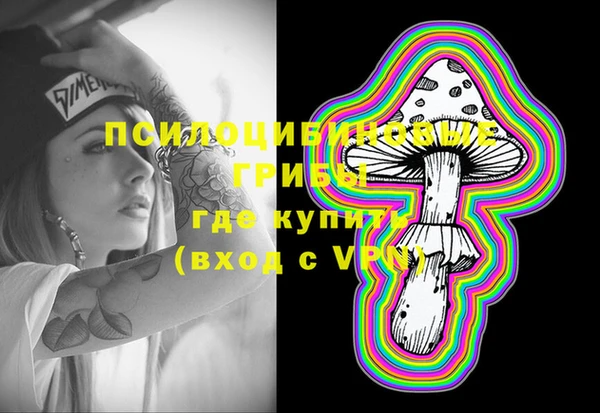 амф Осташков