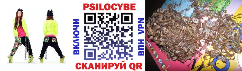 Галлюциногенные грибы Cubensis  Купить закладки  Приволжск 