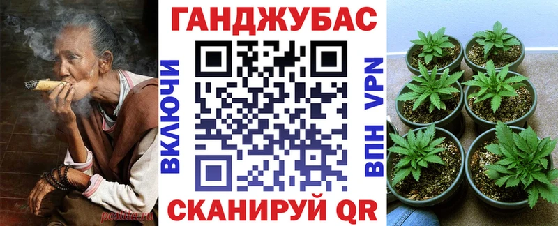 Марихуана планчик  Купить где  Приволжск 